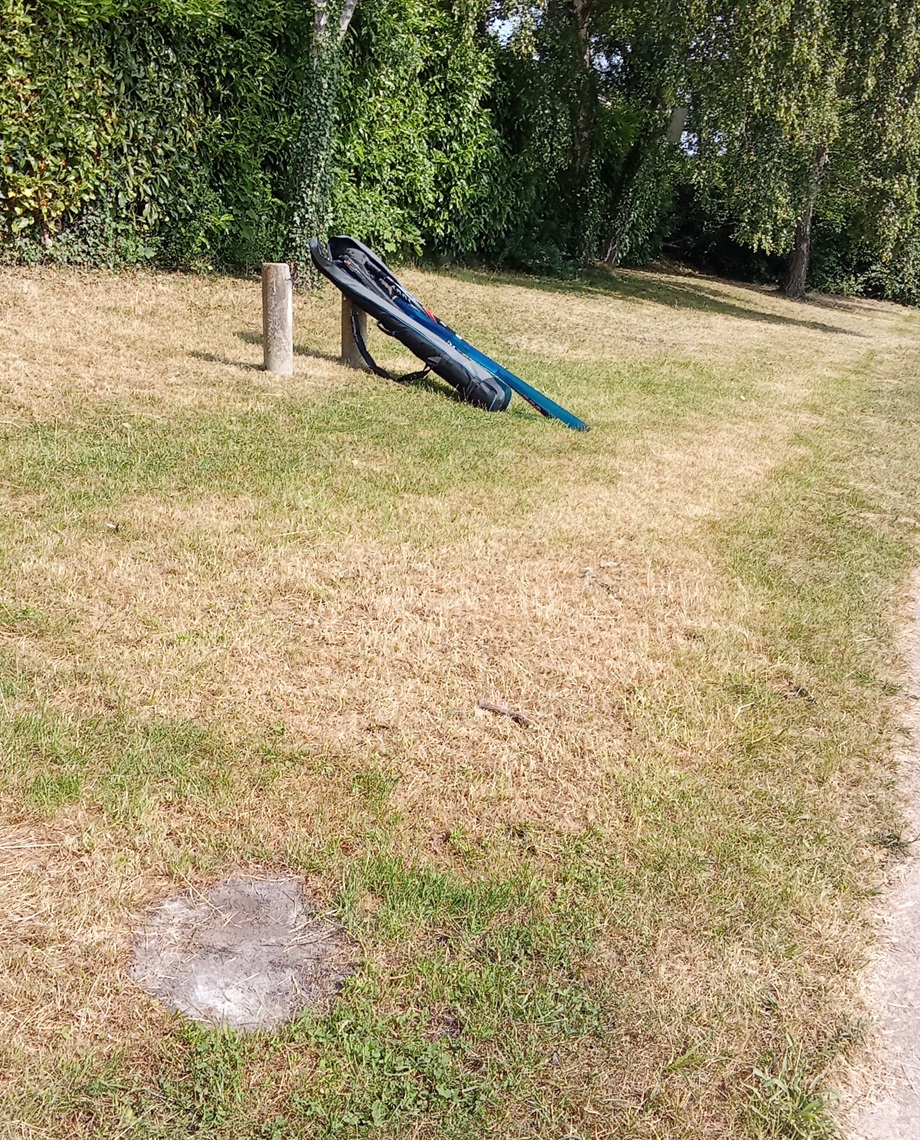 Photo de pelouse tondue